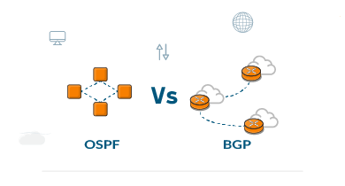 تفاوت BGP و OSPF در چیست؟